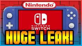 Nintendos Next Big New Nintendo Switch Game LEAKED!