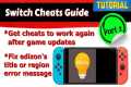 Switch tutorial (detailed) - CHEATS