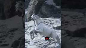 RDR2 - How you can get the best horse for free in this game