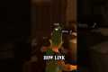 BOTW Glitches you probably haven't